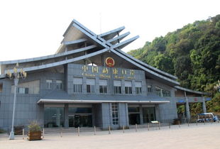 七彩云南行 从江城县到勐腊县勐仑镇 经过整董镇曼滩村