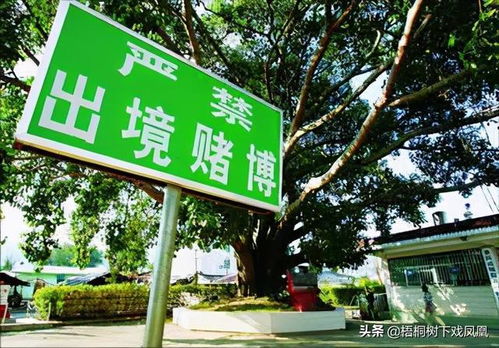 这个盗墓者胆子不少,13次组织盗墓,事发后怕了偷渡到缅甸避风头