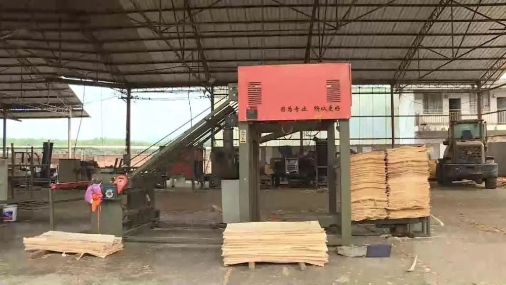 【稳经济 促发展】勐腊:加快天然橡胶产业发展 布局打造国际橡胶产业园