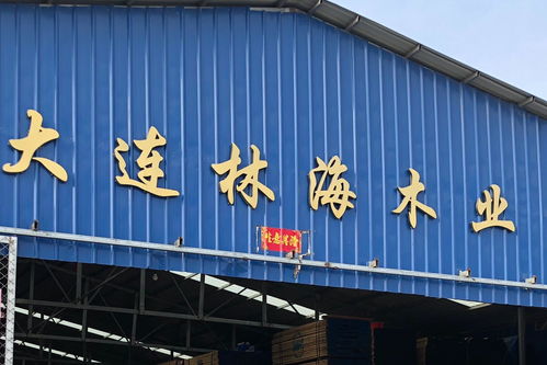 大连林海木业