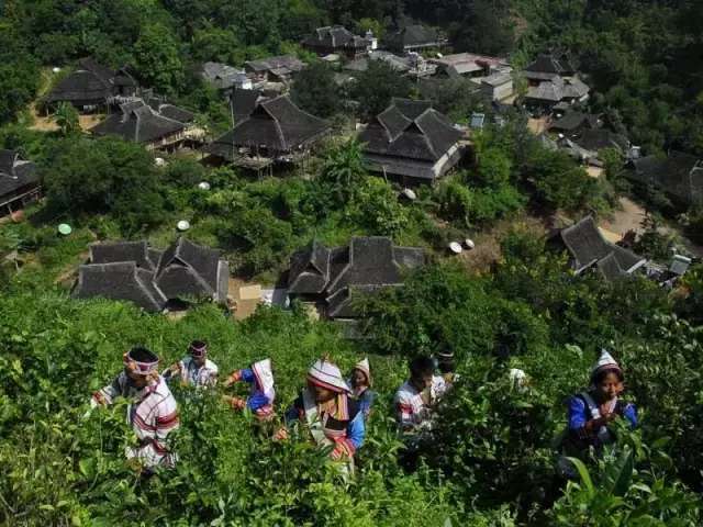 云南有一条国内最美公路, 唯一穿越热带雨林, 还能看到各种珍稀野生动物