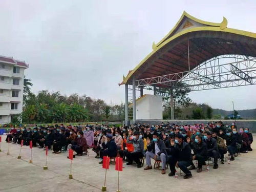 勐腊县取得各村 社区 党组织换届选举 开门红