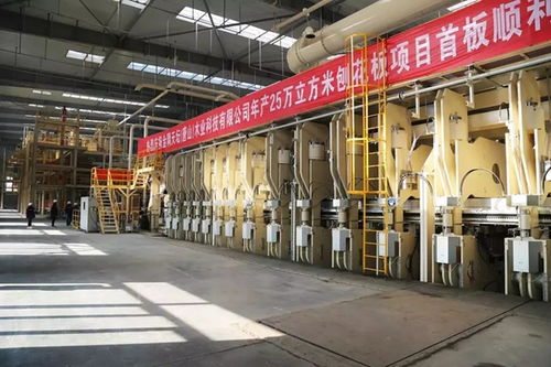 天坛木业投运庆典圆满举办 创新产业扬帆起航