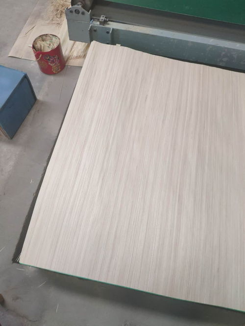 原色科技木木皮 小树木业