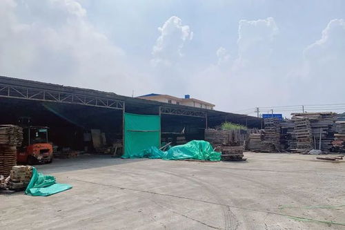 江苏常熟一违建木材厂被依法拆除