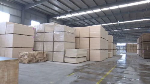 矫晓斌到费县调研木业产业发展情况