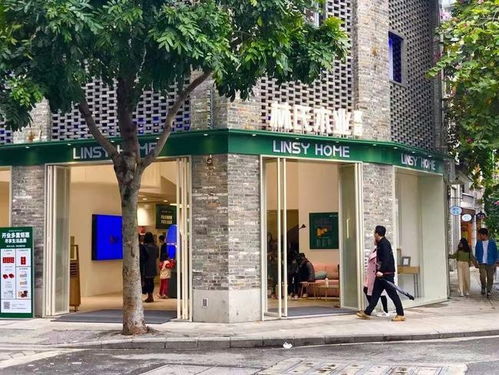 1天卖15亿 中国版宜家 林氏木业千灯湖买地 6千万湿湿碎