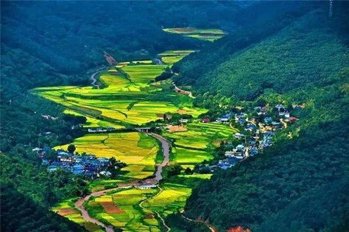 优化和谐共处系统 扩展融入自然维度 勐腊县生物多样性保护见闻