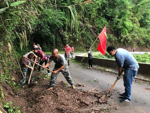 勐腊县象明乡 抓实抓细爱国卫生运动