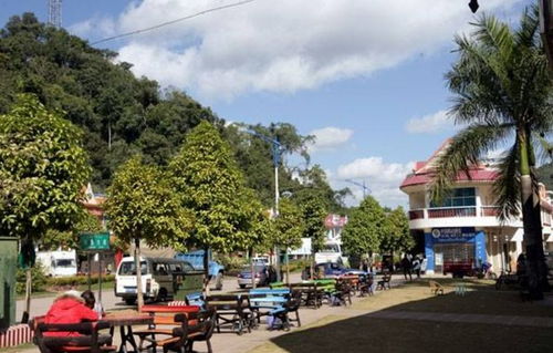 10日自驾游丨我想要带你去浪漫的老挝