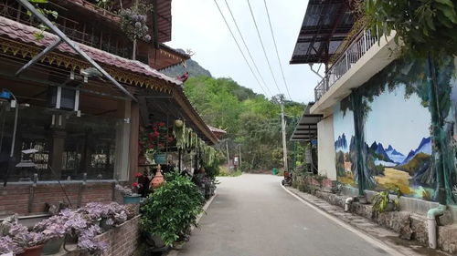 沪滇协作绘就勐腊乡村振兴新画卷