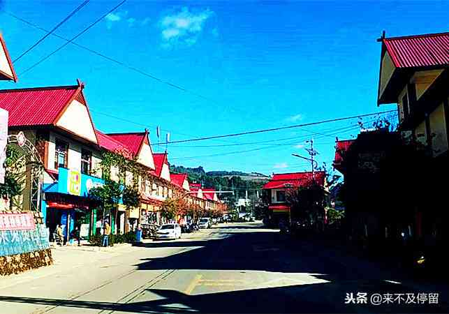 云南普洱茶 西双版纳与临沧两大产区,揭示其独特品质与丰富资源