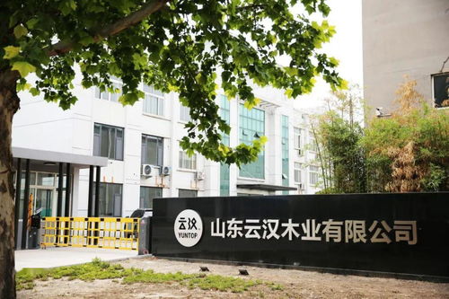 山东云汉木业与三维家达成战略合作,助力品牌全方位提升竞争力