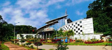 云南这10个地方将新增机场