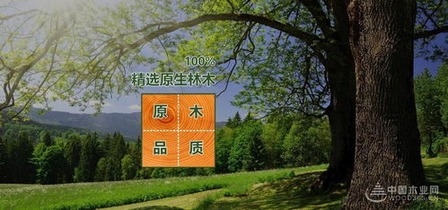 金九银十家装高峰期 选2023生态板十大品牌就对了