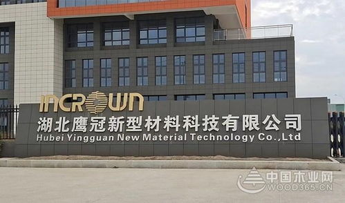 实至名归 鹰冠木业获得金匠榜 行业影响力板材十大品牌 荣誉