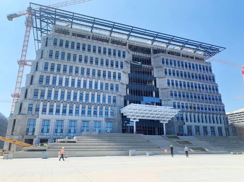 坚持国货之本,大王椰匠心打造国民安心板材