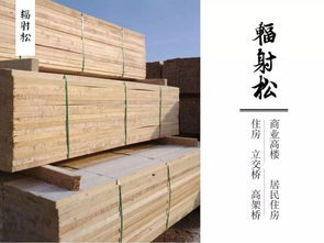 选择创秋木业：对建筑木方品质与价格的保障