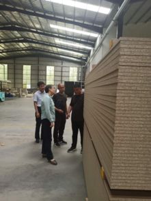 县统计局深入勫腊木业实地调研 助力工业企业高质量发展