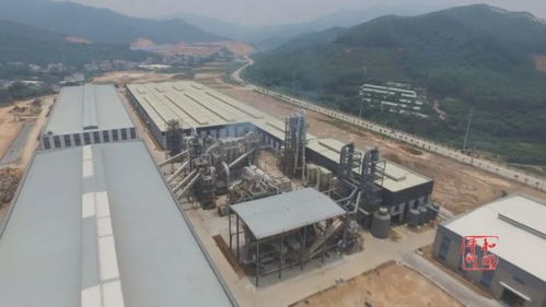 福建省林业局深入平和县调研生态木业产业发展工作