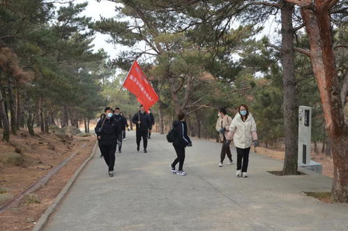 群豪木业丨山登绝顶我为峰 勐腊木业