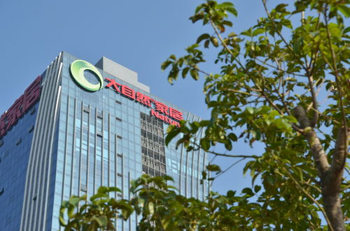 大自然家居全资收购泰州大自然 战略布局加速整合勐腊木业