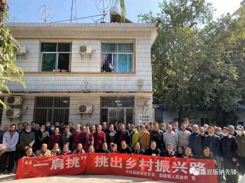 勐腊县“三个到位”高质量完成村(社区)党组织换届选举工作