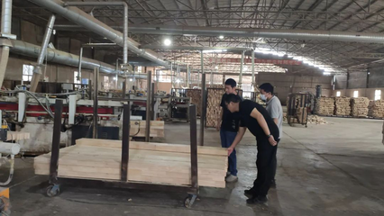 五比五看五争当 | 帮企助企优环境,当好贴心“服务员”——勐腊木业在行动